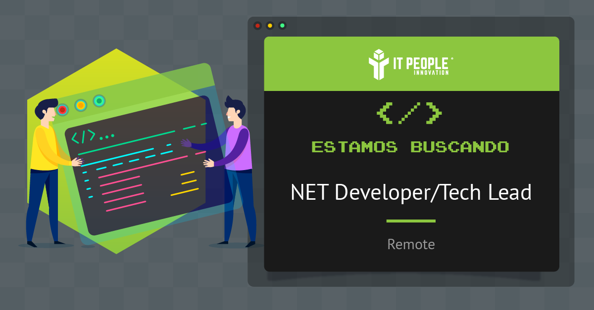 Net Developer Tech Lead